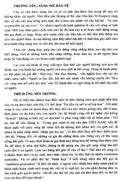 Ky Yeu cuu sinh vien Dai Hoc Y Khoa Hue 2000-2001 / Page 38